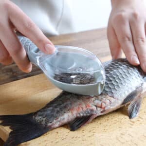 Écailleur à poisson avec son réservoir