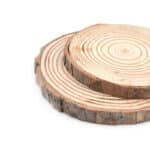 Lot de 10 sous-verres en rondin de bois naturel